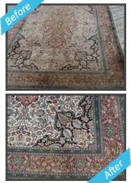 Rug Steam Cleaners